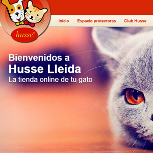 Husse Lleida